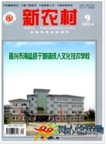 新農村